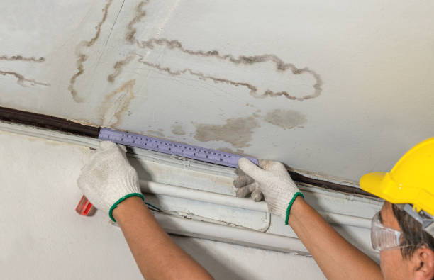 Reliable Sewage Cleanup contractor in Sutton, MA by Water Damage Irwin
